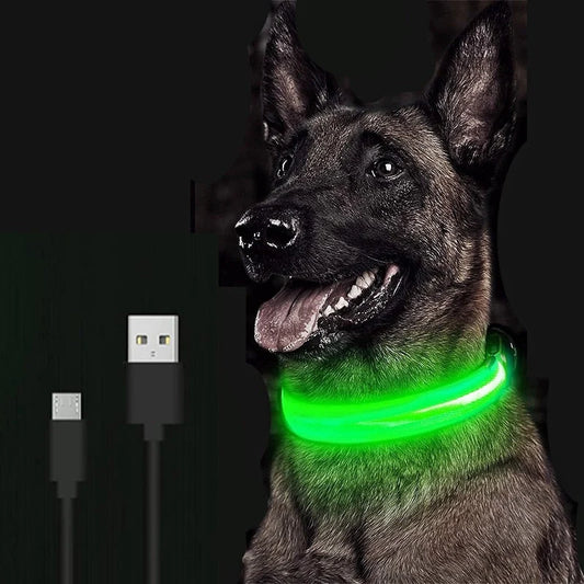 LED Luminous Pet Dog Collar Night