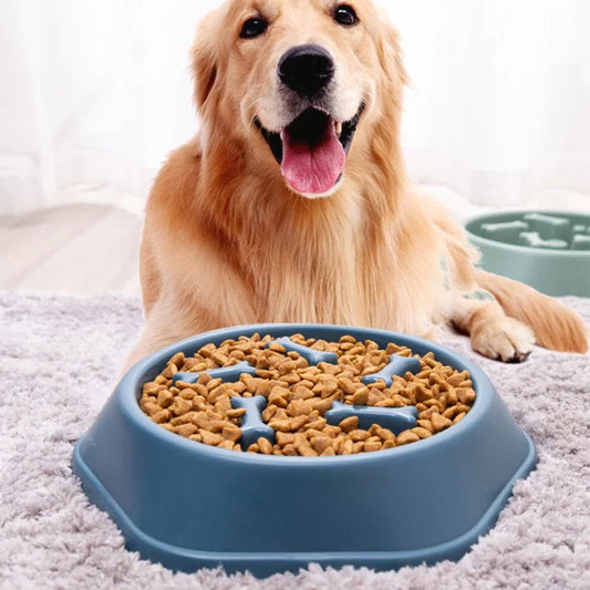 Pet Dog Cat Slow Feeder Bowls Anti Choking Slow Feeder