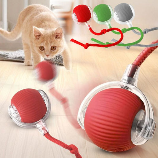Cat Interactive Ball Toys Automatic Rolling Ball For Kitten